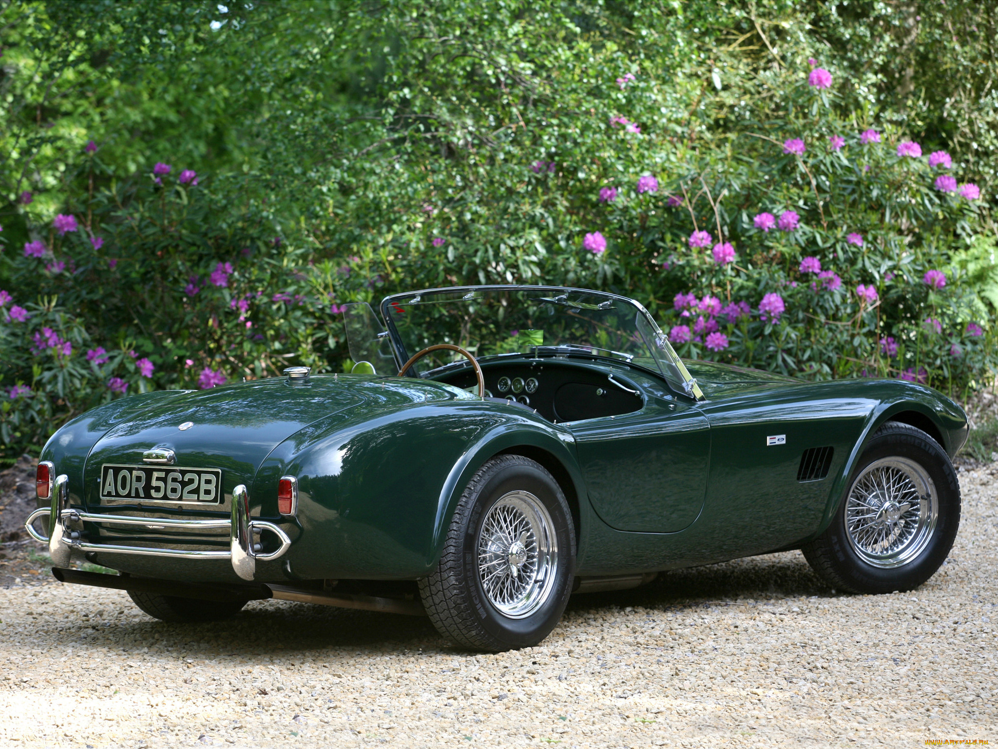 ac cobra mkii 1965, , ac cobra, shelby, ac, cobra, mkii, 1965